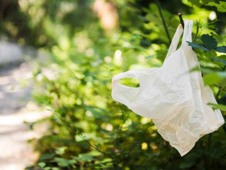 Las bolsas de plástico biodegradables compostables no contaminan el medio ambiente